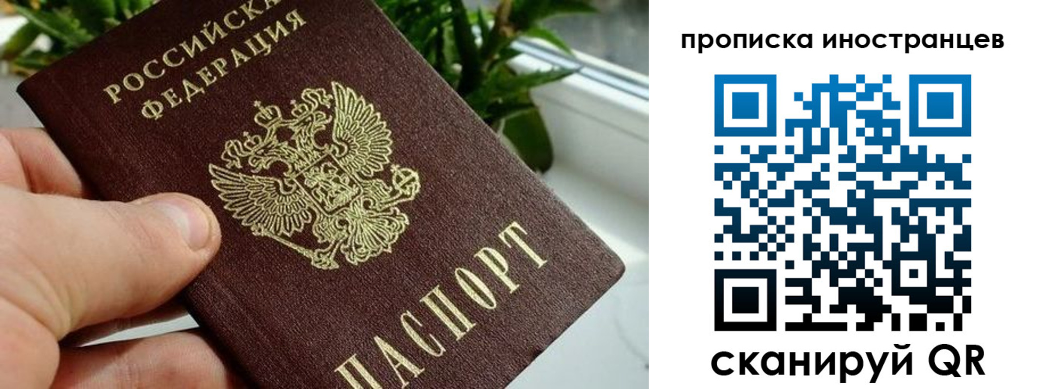 временная регистрация в Снежинске